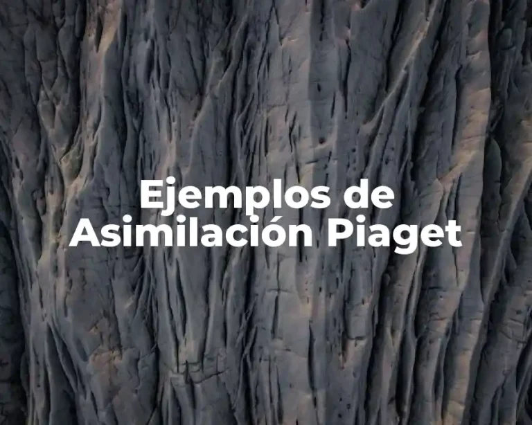 Ejemplos de Asimilación Piaget
