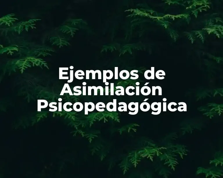 Ejemplos de Asimilación Psicopedagógica