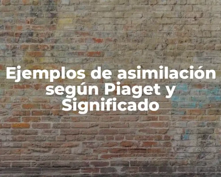 Ejemplos de asimilación según Piaget y Significado