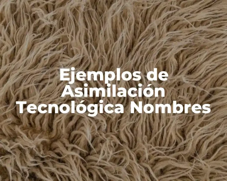 Ejemplos de Asimilación Tecnológica Nombres