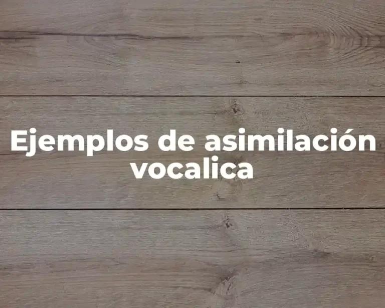 Ejemplos de asimilación vocalica