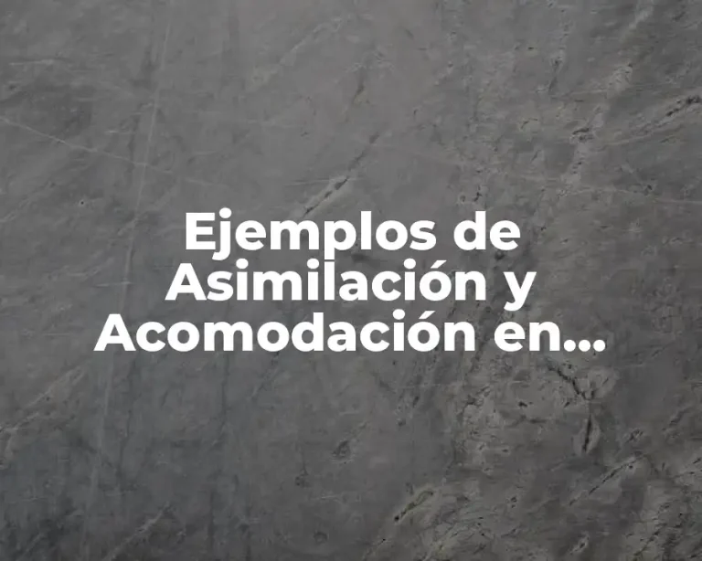 Ejemplos de Asimilación y Acomodación en Psicología