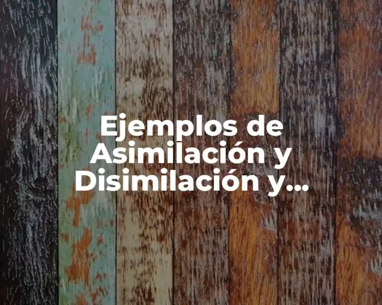 Ejemplos de Asimilación y Disimilación y Significado