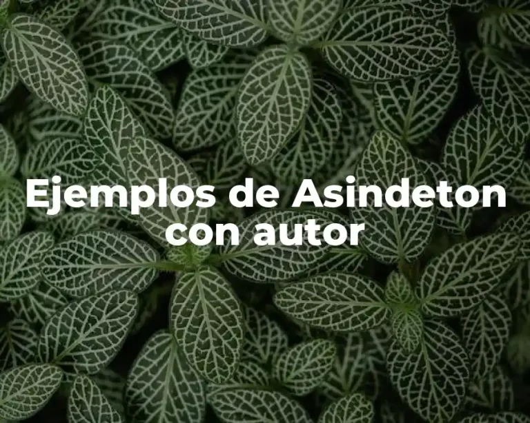 Ejemplos de Asindeton con autor