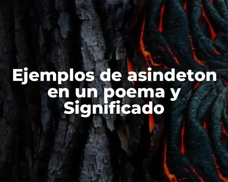 Ejemplos de asindeton en un poema y Significado