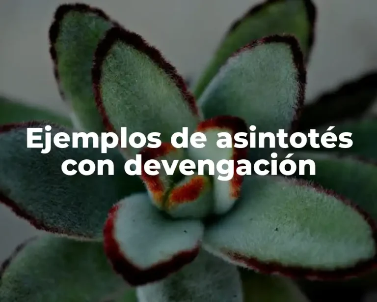 Ejemplos de asintotés con devengación