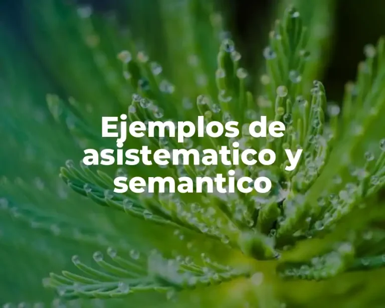 Ejemplos de asistematico y semantico