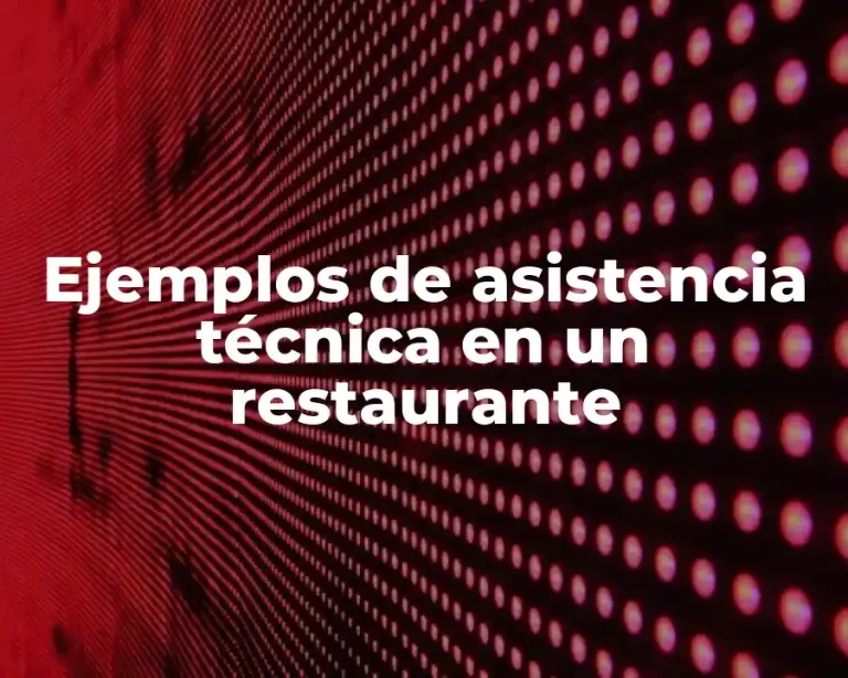 Ejemplos de asistencia técnica en un restaurante