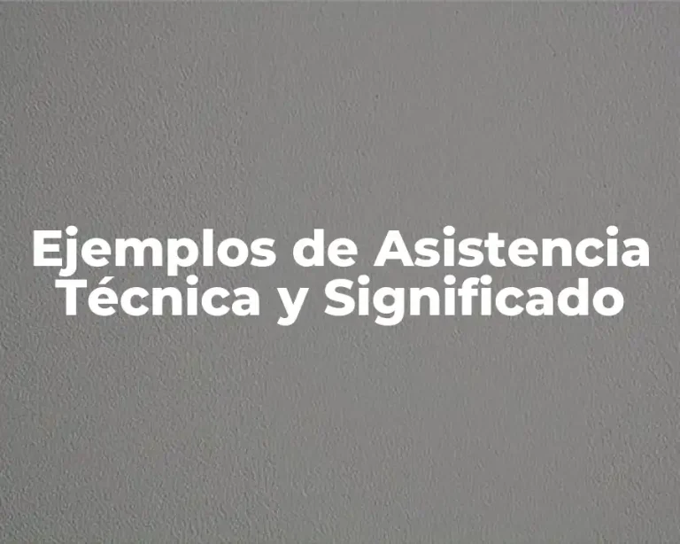 Ejemplos de Asistencia Técnica y Significado