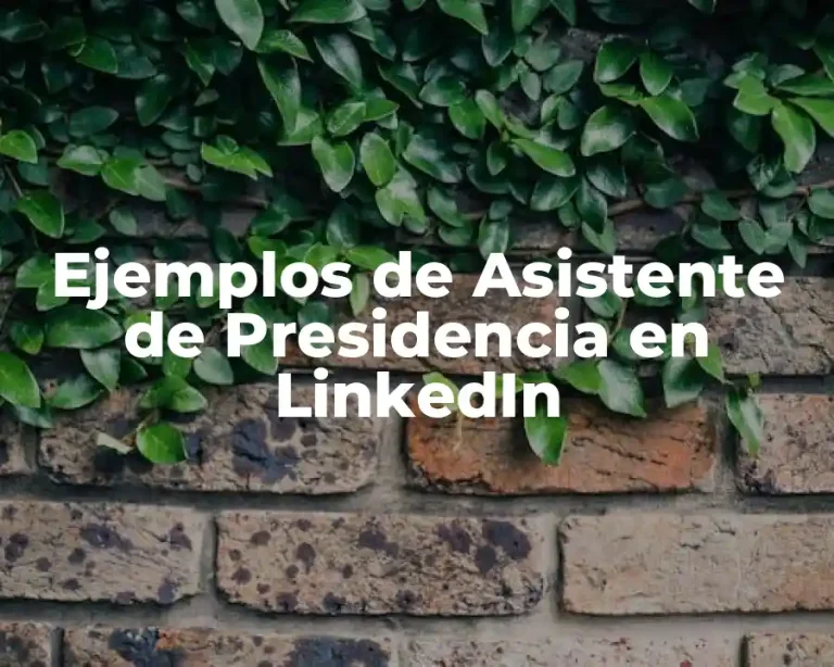 Ejemplos de Asistente de Presidencia en LinkedIn