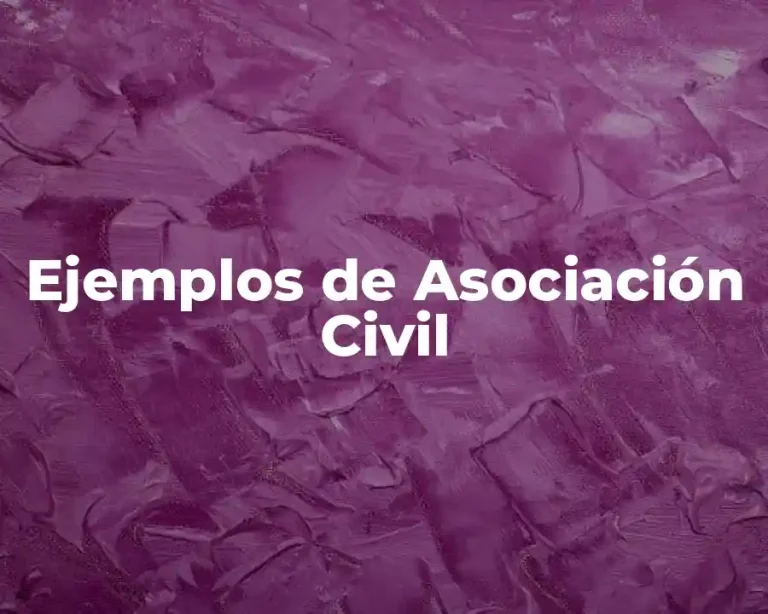 Ejemplos de Asociación Civil