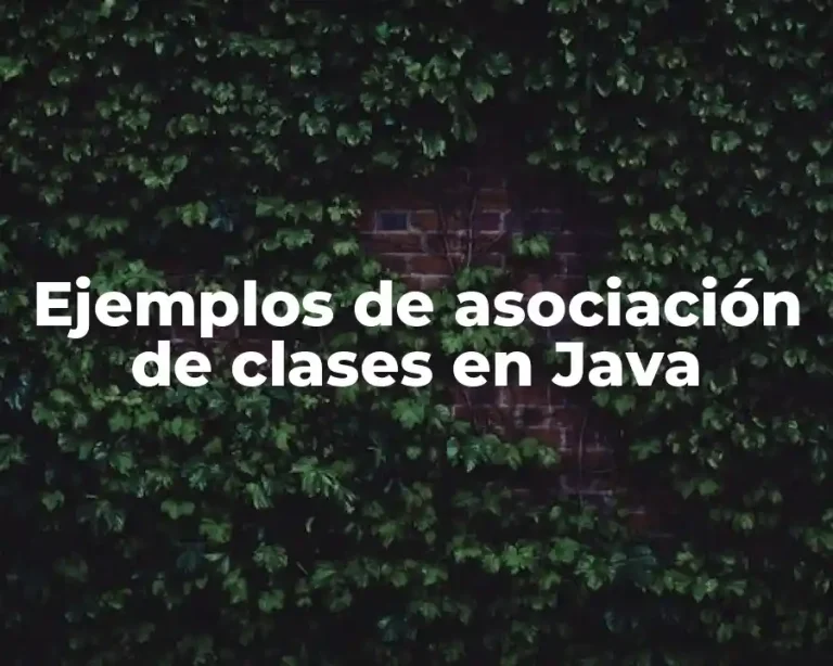 Ejemplos de asociación de clases en Java