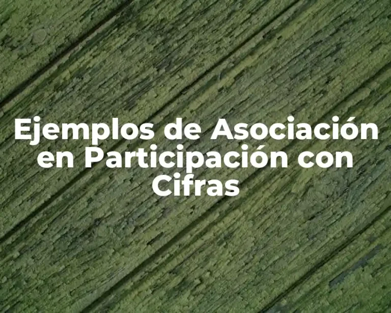 Ejemplos de Asociación en Participación con Cifras