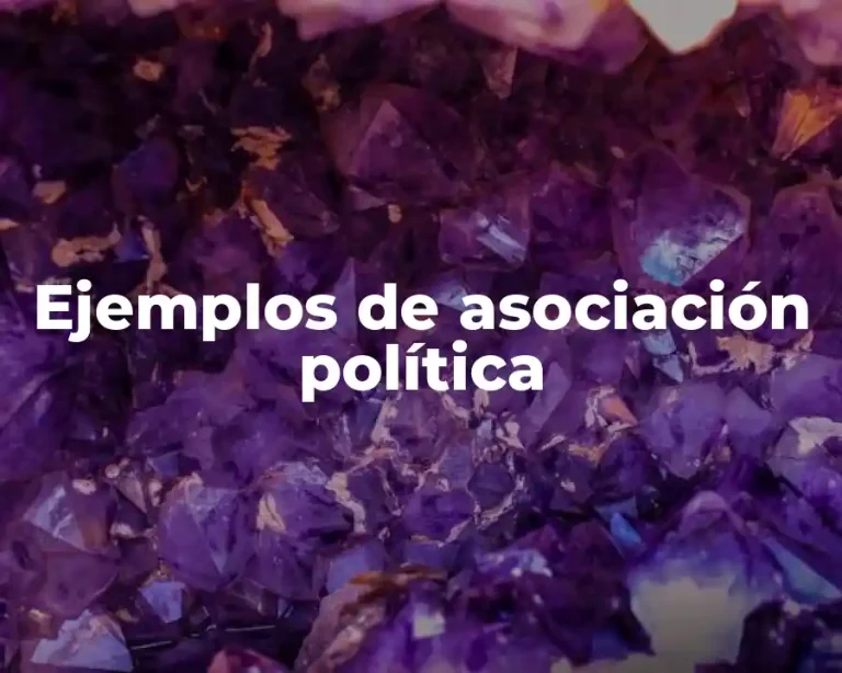 Ejemplos de asociación política
