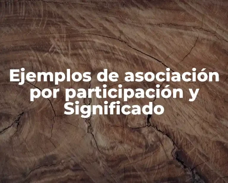 Ejemplos de asociación por participación y Significado