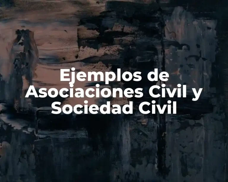 Ejemplos de Asociaciones Civil y Sociedad Civil
