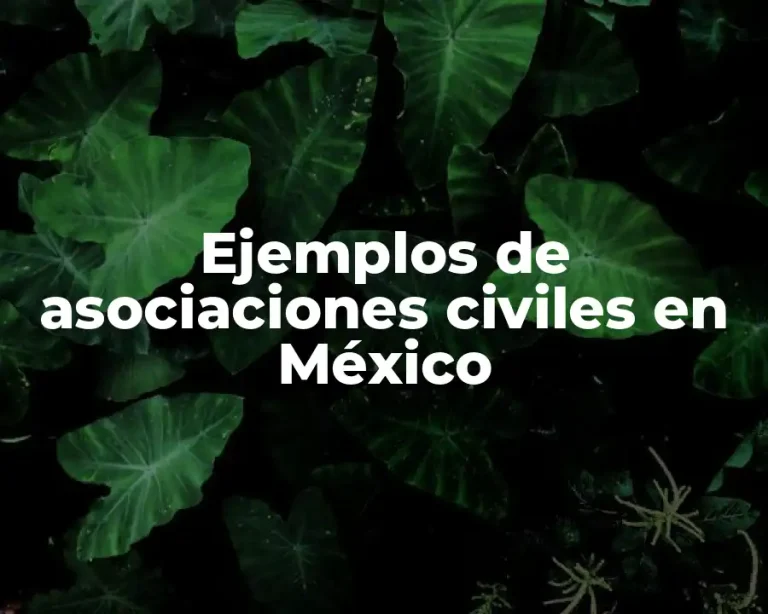 Ejemplos de asociaciones civiles en México