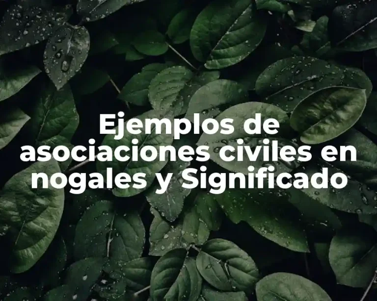 Ejemplos de asociaciones civiles en nogales y Significado