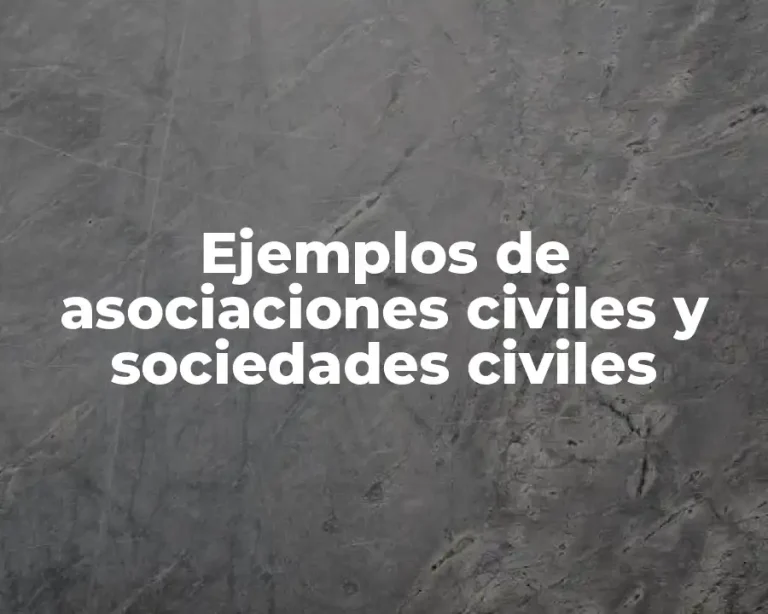 Ejemplos de asociaciones civiles y sociedades civiles