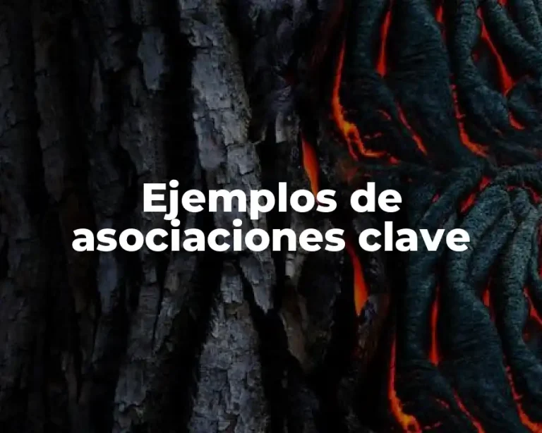 Ejemplos de asociaciones clave