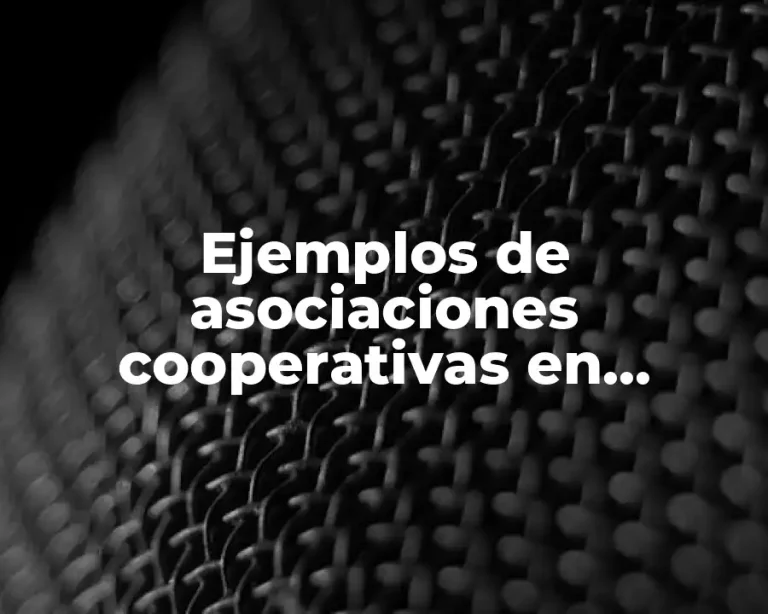 Ejemplos de asociaciones cooperativas en Zacatecas y Significado