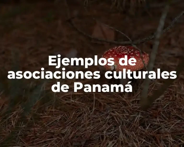 Ejemplos de asociaciones culturales de Panamá