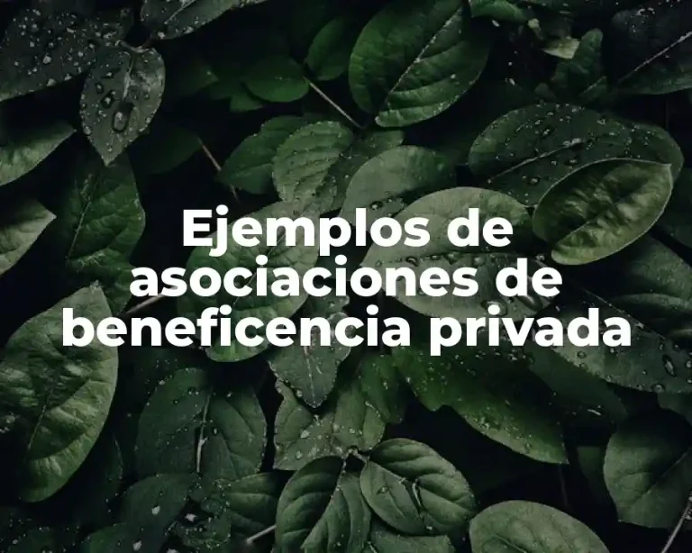 Ejemplos de asociaciones de beneficencia privada