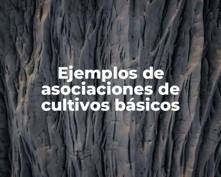 Ejemplos de asociaciones de cultivos básicos