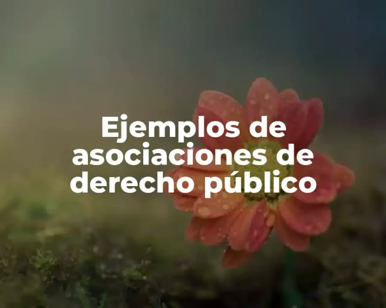 Ejemplos de asociaciones de derecho público