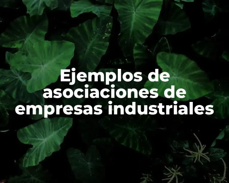 Ejemplos de asociaciones de empresas industriales