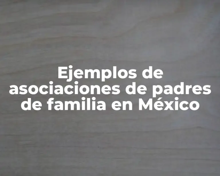 Ejemplos de asociaciones de padres de familia en México