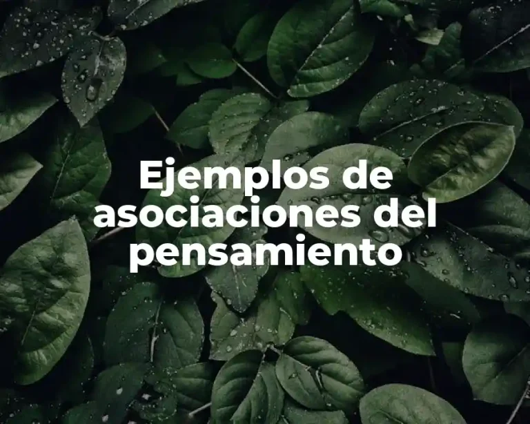 Ejemplos de asociaciones del pensamiento