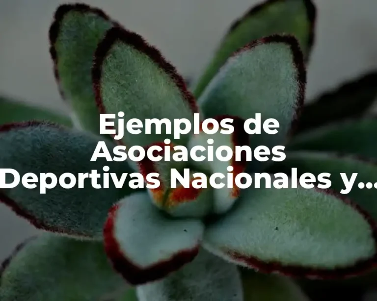 Ejemplos de Asociaciones Deportivas Nacionales y Significado