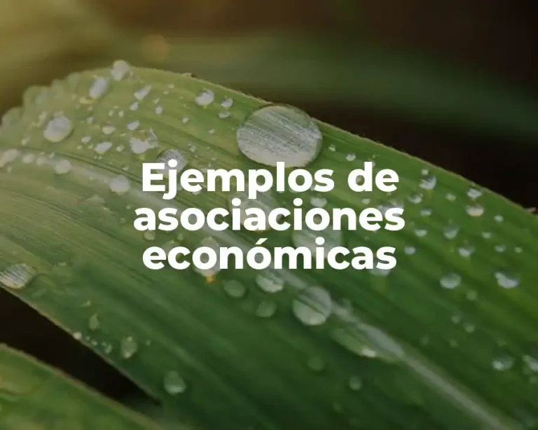 Ejemplos de asociaciones económicas