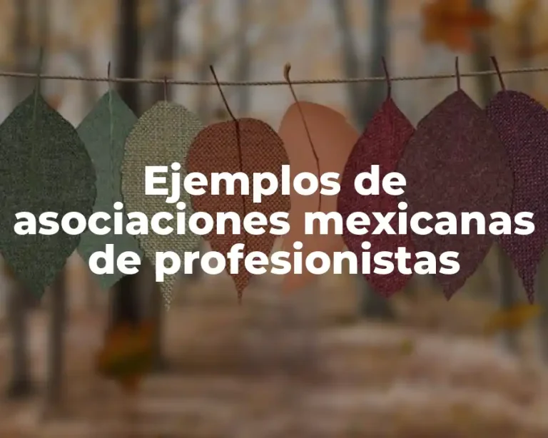 Ejemplos de asociaciones mexicanas de profesionistas