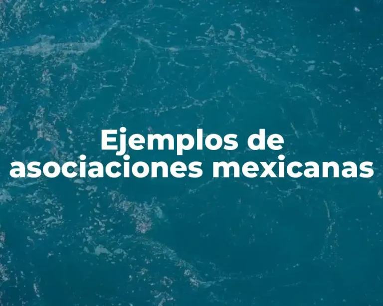 Ejemplos de asociaciones mexicanas