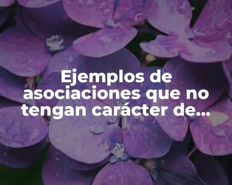 Ejemplos de asociaciones que no tengan carácter de preponderante
