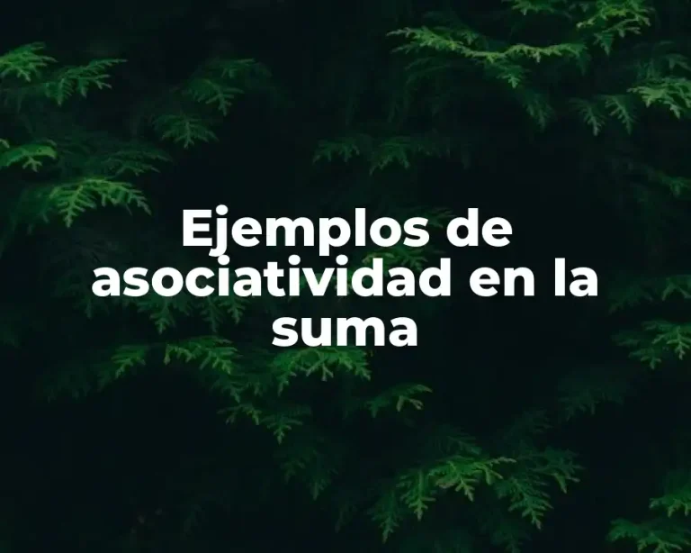 Ejemplos de asociatividad en la suma