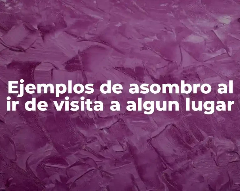 Ejemplos de asombro al ir de visita a algun lugar