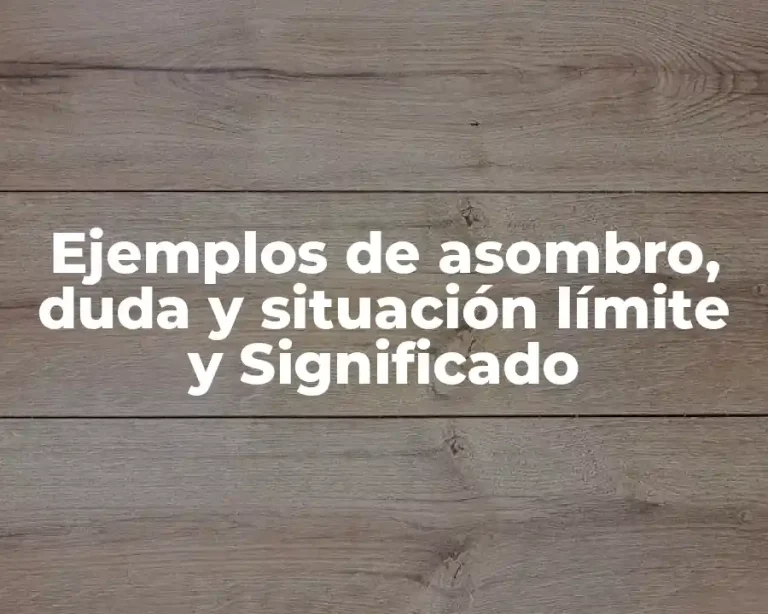 Ejemplos de asombro, duda y situación límite y Significado