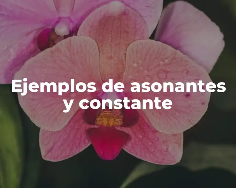 Ejemplos de asonantes y constante