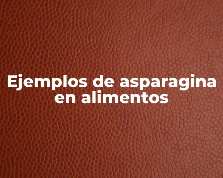 Ejemplos de asparagina en alimentos