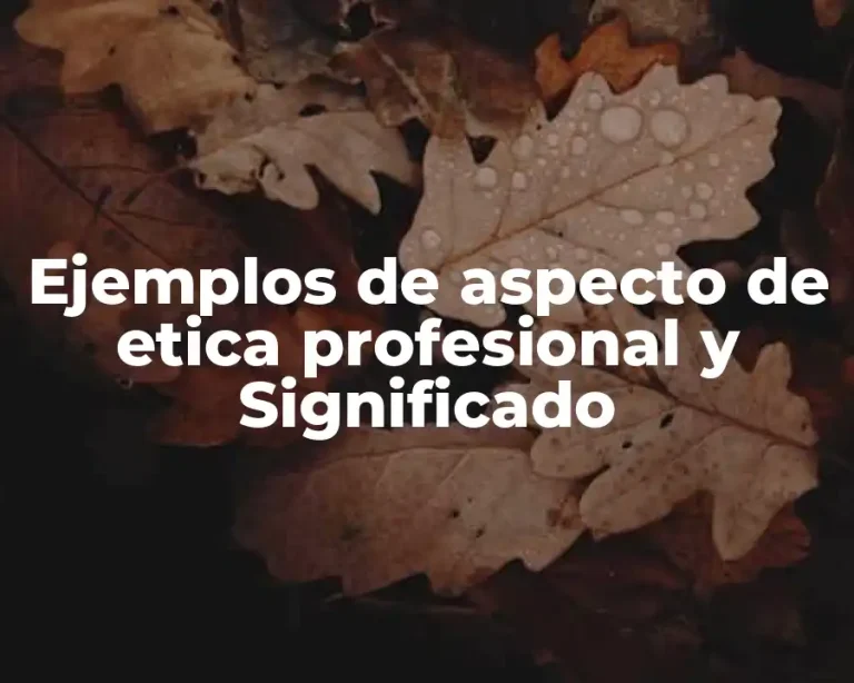 Ejemplos de aspecto de etica profesional y Significado
