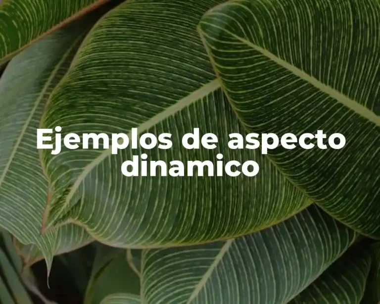 Ejemplos de aspecto dinamico