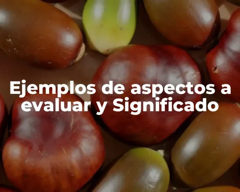 Ejemplos de aspectos a evaluar y Significado