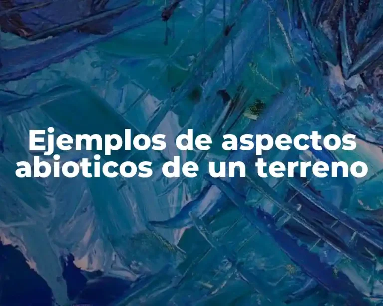 Ejemplos de aspectos abioticos de un terreno