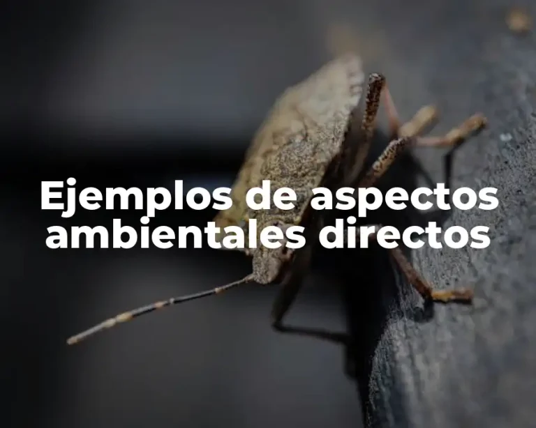 Ejemplos de aspectos ambientales directos