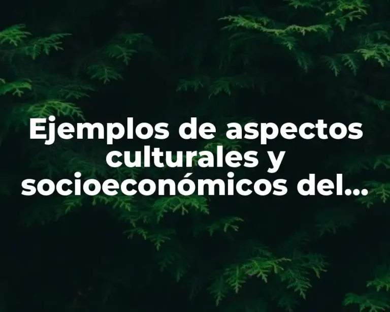 Ejemplos de aspectos culturales y socioeconómicos del país