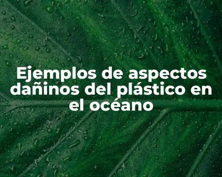 Ejemplos de aspectos dañinos del plástico en el océano