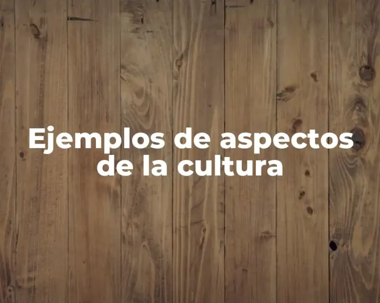 Ejemplos de aspectos de la cultura